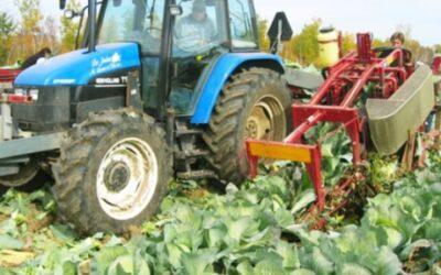 Комбайн для сбора капусты Univerco Cabbage Harvester