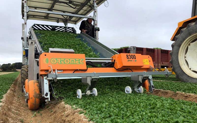 Самоходный полноприводный комбайн для сбора салатов Ortomec Herbex 8300
