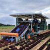 Самоходный полноприводный комбайн для сбора салатов Ortomec Lattuga 8300